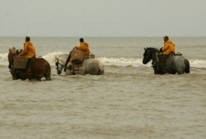 Vakantie aan de Belgische kust arrangementen paardevissers Oostduinkerke
